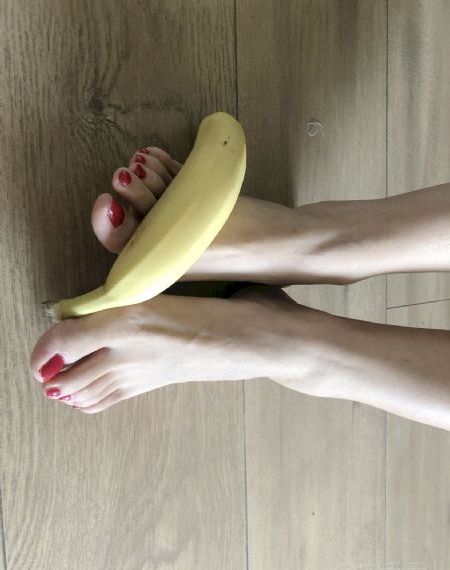顶楼里的大象