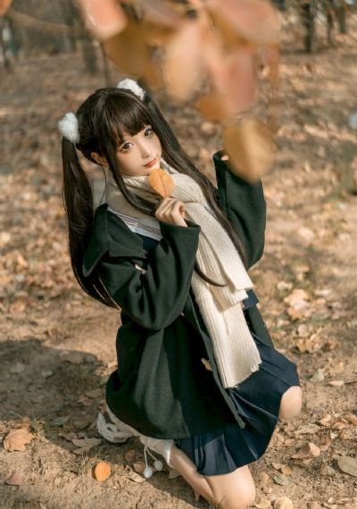 花蝴蝶免费版大全多少集