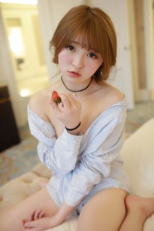 少女与战车