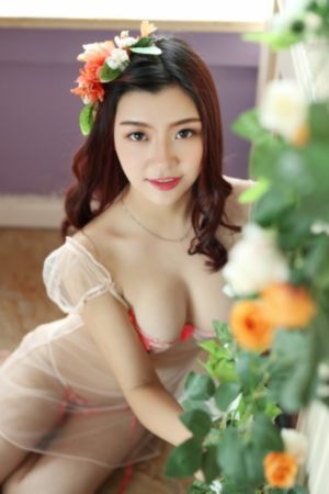 风花镜月西施泪
