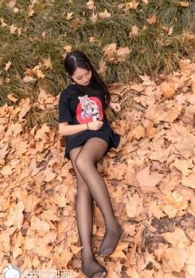 施公奇案1电视剧全集免费观看