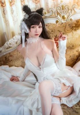 贤内助女王